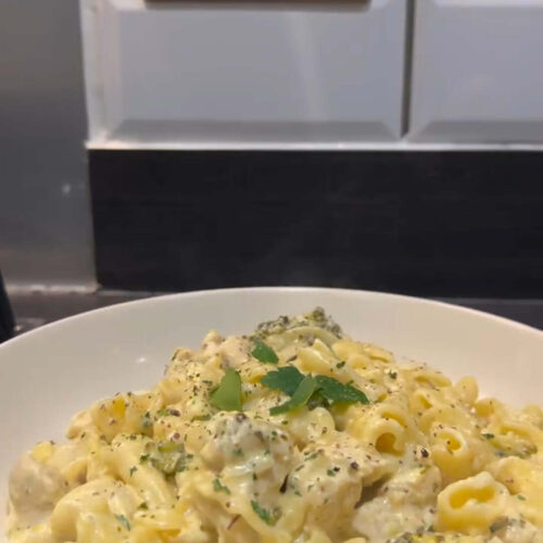 Chicken Broccoli Alfredo1