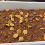 chocolate peanut butter oat bars1